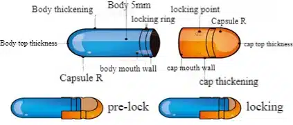 What Are Capsules and How to Fill Capsules?-Npack What Are Capsules and How to Fill Capsules?-Npack
